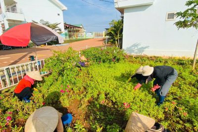 🌿 BUỔI LAO ĐỘNG CẮT DỌN VƯỜN THIÊN NHIÊN – GIEO MẦM XANH CHO TUỔI THƠ 🌿